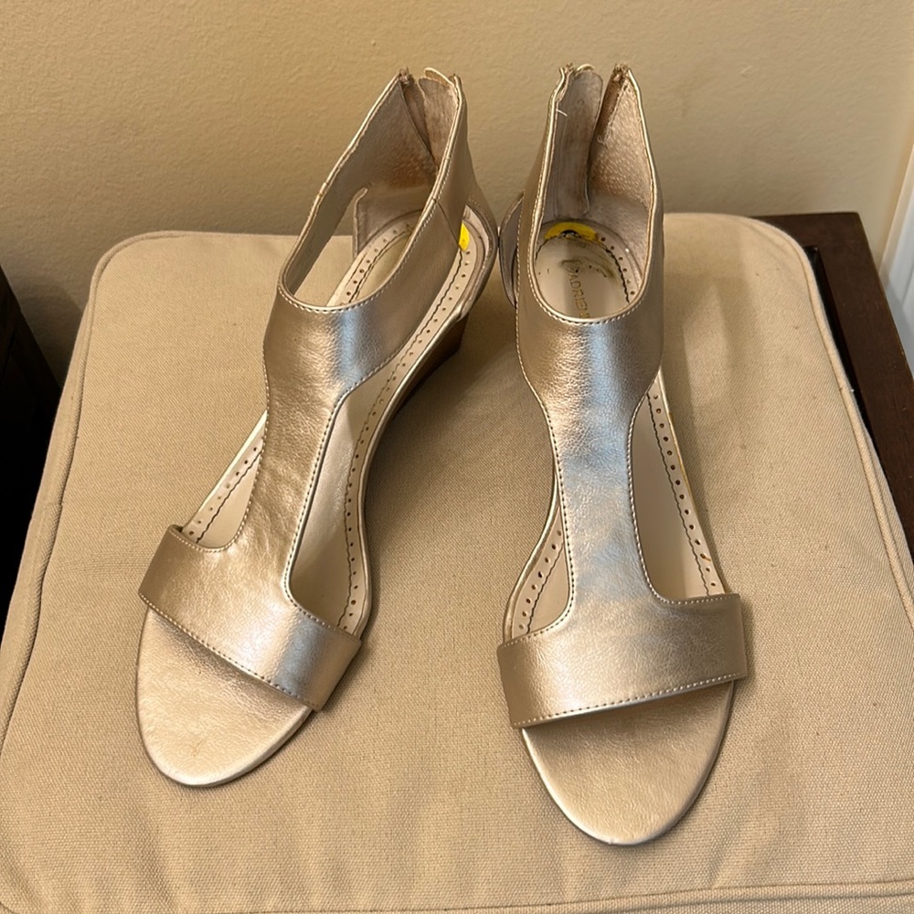 Adrienne Vittadini metallic sandals